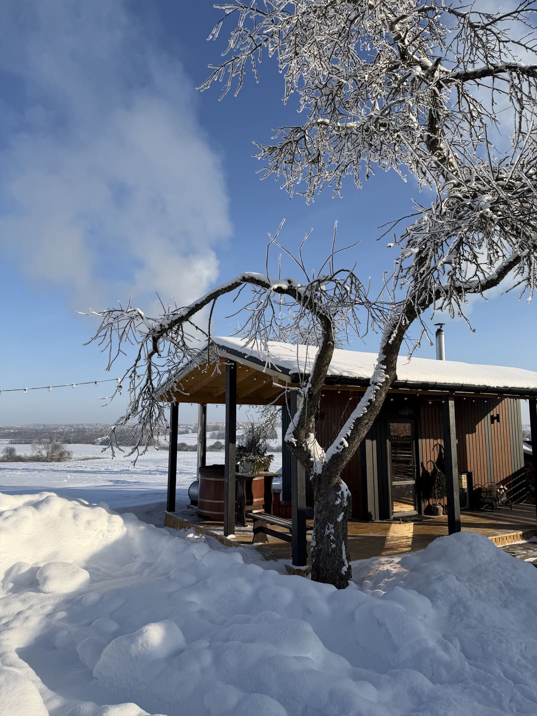 Аренда дома на Новый год в Могилеве